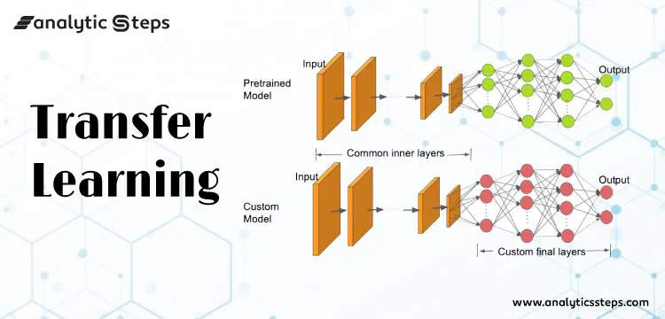 Age Prediction with Transfer Learning